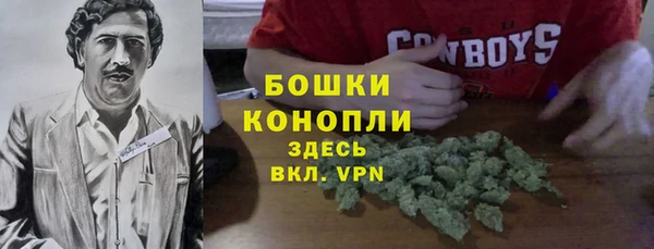 MESCALINE Коряжма