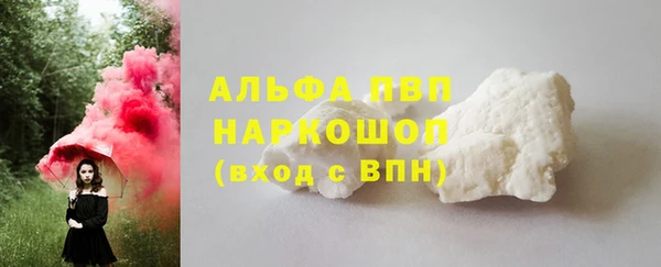 сатива Корсаков