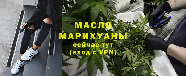 сатива Корсаков