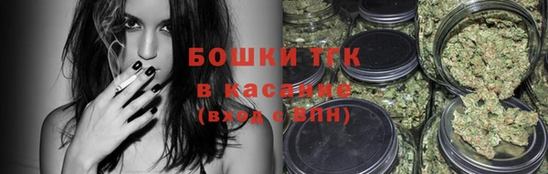 сатива Корсаков